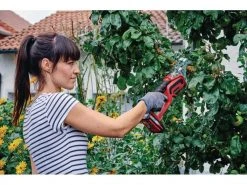 Einhell Astsäge GE-GS 18 Li - Solo 17 Einhell Astsäge GE-GS 18 Li - Solo -Multi Tools DE 52327428 xxl