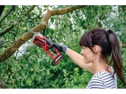 Einhell Astsäge GE-GS 18 Li - Solo 15 Einhell Astsäge GE-GS 18 Li - Solo -Multi Tools DE 52327609 xxl
